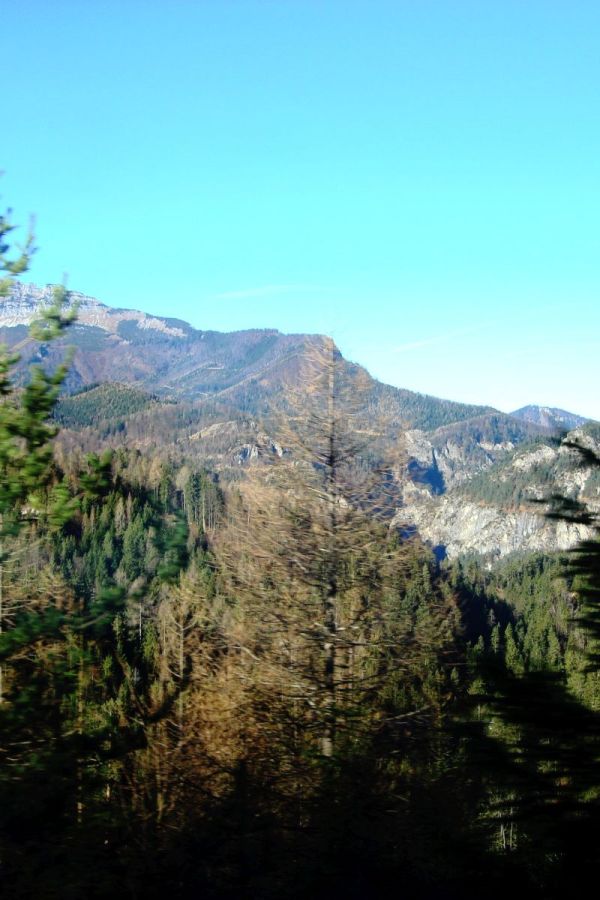 dsc00018