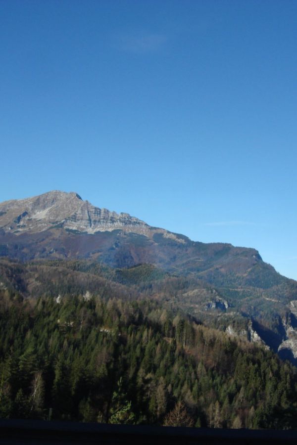 dsc00021