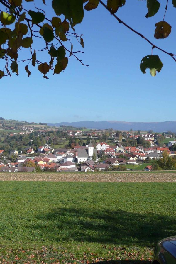 p1000027
